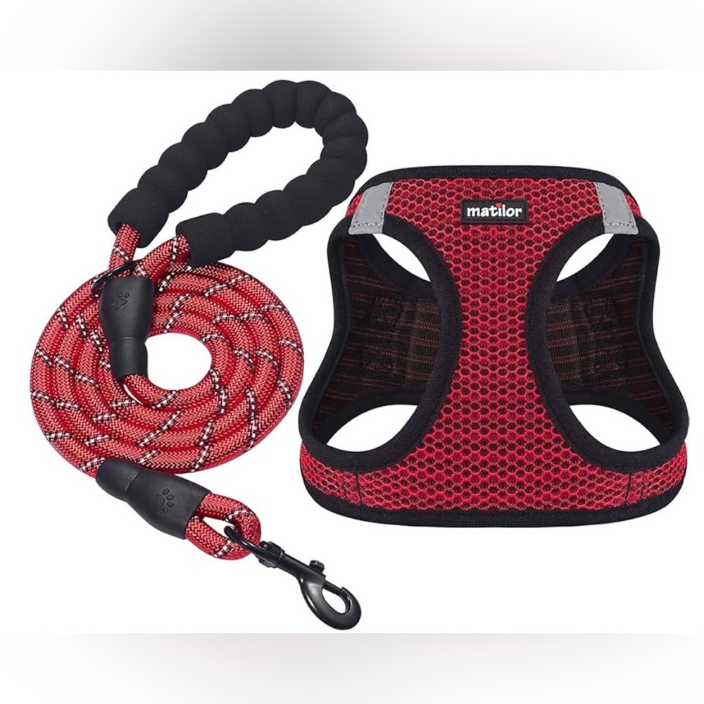 Red Dog Harness and Leash Set small
